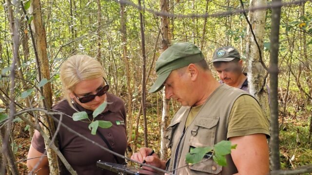 Atliktas Nacionalinės miškų inventorizacijos darbų auditas