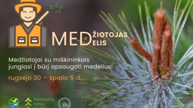 Miškininkai ir medžiotojai buriasi į talką – miškuose vyks akcija „Medžiotojas ir medelis“