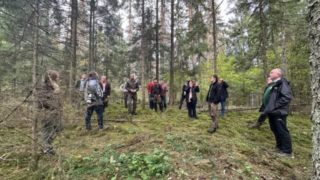 Baltijos šalių miškų ekspertų susitikime – klausimai dėl kompensacijų už suvaržymus, žievėgraužio tipografo daroma žala