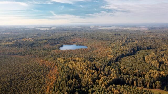 Įmonės veiklos skaidrumui užtikrinti – kompleksiniai sprendimai